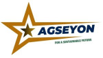 AGSEYON SOLUTION LLP Logo