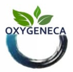 OXYGENECA LABS PRIVATE LIMITED Logo