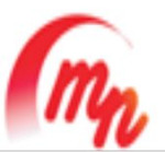 MN Logistics Services Logo