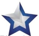 BLUE STAR POWER INDIA Logo