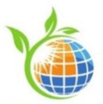 Optimal Energy Products and Solutions Logo
