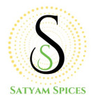 Satyam Enterprises Logo
