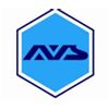 AVS ENGINEERING CO Logo
