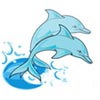 Dolphin Separation Equipments Logo