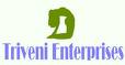 Triveni Enterprises Logo