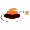 Synergy Impex Logo