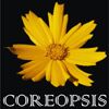 Coreopsis Fountain and Landscaping Private Limited