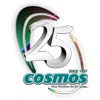 Cosmos Impex (i) Pvt. Ltd.