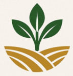 HITESH MAJETHIYA