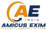 AMICUS EXIM