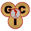 Ganesh Chemicals and Intermediates Logo