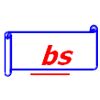Bs Enterprises Logo