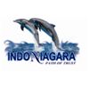 Indoniagara Development India Ltd