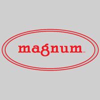 Magnum Engineers