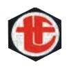 Tork Fastners India Pvt. Ltd. Logo