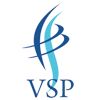 VSP Enterprise Logo