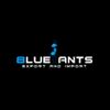 Blue Ants Export and Import