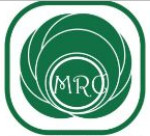 Mercer Corporation Logo