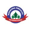 Mediroma Nirgalits International