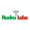 Rudra Labs Logo