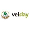 Velday Sales and Marketing
