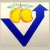 Viswam Food Products (p) Ltd. Logo