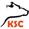 Karnataka Surgical & Chemicals Logo