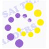 Sai Sai Traders Logo