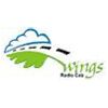 Wings Travels Management India Private Limited Logo
