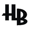 Helibenz Technologies Pvt. Ltd. Logo
