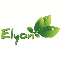 ELYON TRADERS LLP Logo
