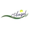 Angel Healthcare Logo