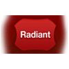 Radiant Leather Solutions Pvt. Ltd