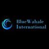 Blue Whale Exports Logo