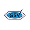 Gsv Enterpeises & Gsv Lifecare Logo