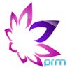 Pratibha Refractory Minerals Logo