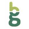 Bgreen International Logo