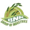 Bnk Groups Logo