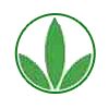 Herbal Solutions Logo