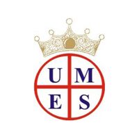 United Medical Engineers Systems Logo