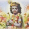 Sri Hare Krishna Spieces Corporation