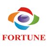 Fortune Controls Pvt. Ltd Logo