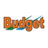 Budget Loom Logo