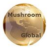Mushroom Global Logo
