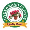 Hyderabad Plants (plants Nursery)