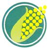 Yellow Seeds India Logo