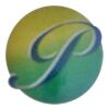 PSN Enterprises Logo