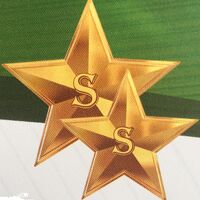 Star Steel Logo