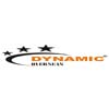 Dynamic Overseas Logo