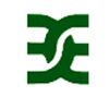 Essar Engineers Logo